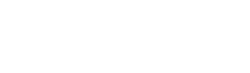 Next Level Apparel